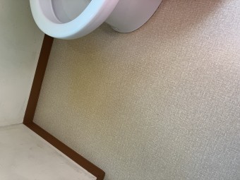トイレの床洗浄【渋谷区　飲食店】サムネイル